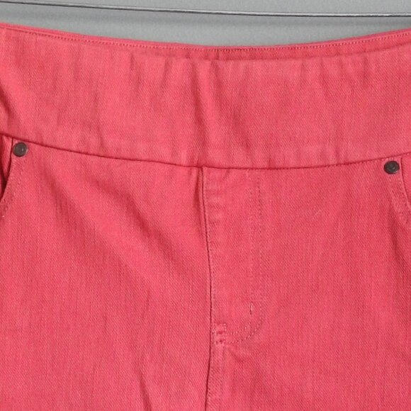 Chadwicks Pink Pull on Jean Skort Size 14T - Picture 3 of 7